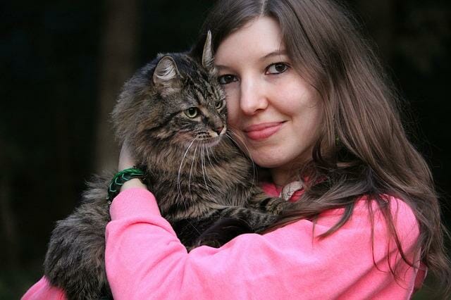 How to Get a Cat to Like You: Tips to Make Your Cat Fond of You