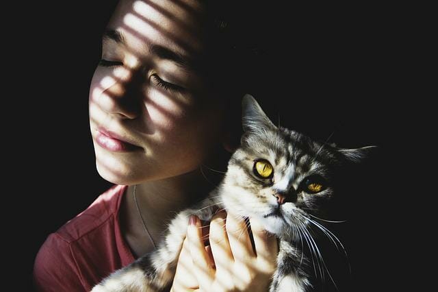 Are Cats Good Pets? A Comprehensive Guide