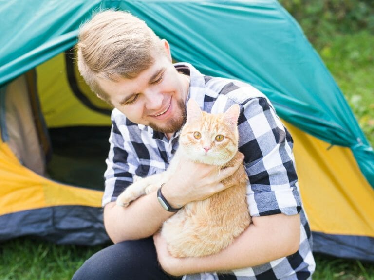 Is It OK to Take a Cat Camping: A Guide to Camping With a Cat