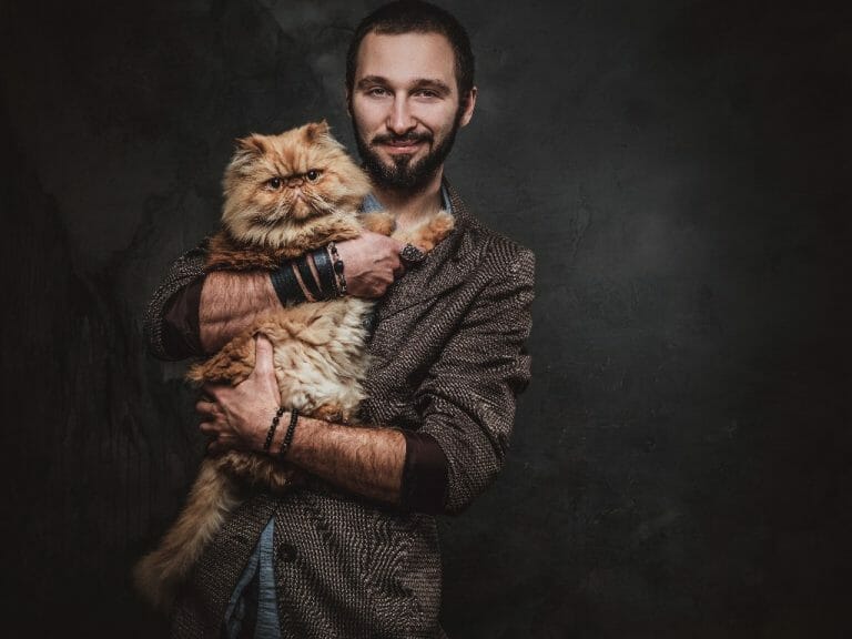 Most Friendly Cat Breeds: 16 Most Affectionate Cats in the World