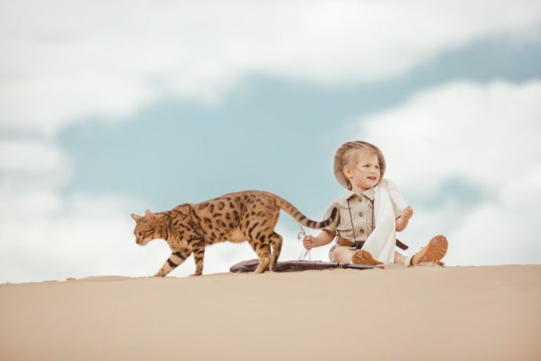 Savannah Cat Size Comparison to Dog: Traits That Make Savannah Cats Comparable to Dogs